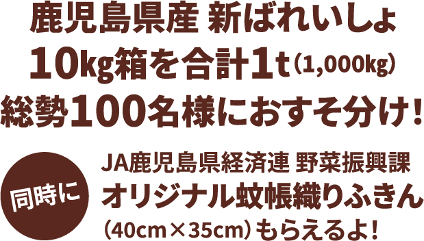 鹿児島県産 新ばれいしょ10㎏箱を合計1t(1,000㎏)総勢100名様におすそ分け!