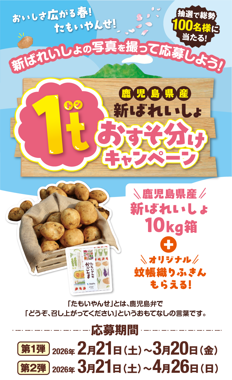 新ばれいしょの写真を撮って応募しよう!!JA鹿児島経済連の新ばれいしょ1t山分けキャンペーン