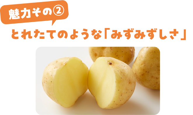 とれたてのような「みずみずしさ」